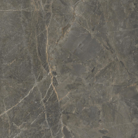 плитка Golden Tile Stone Roots 60x60 коричневий, рект. (SO7580)