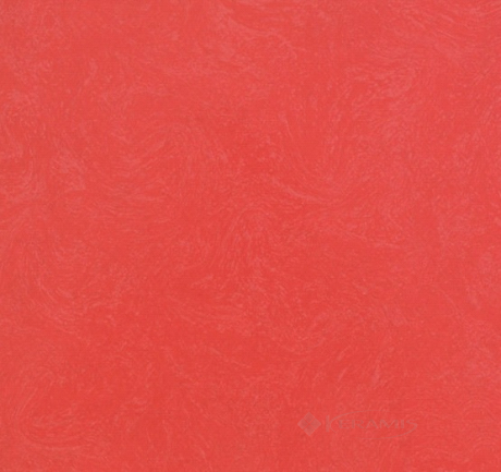 Плитка APE Newport 31,6x31,6 rojo