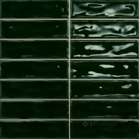 плитка Ceramica Deseo Sticks 20x20 green intense (PT07202)