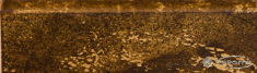 плінтус Gres de Aragon Bosque 8x25 castano