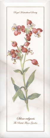 Декор Kerama Marazzi Ноттінгем Квіти Грань 15x40 білий (NT\A87\15005)