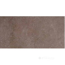 Плитка Kerama Marazzi Дайсен 30x60 коричневий (SG211400R)